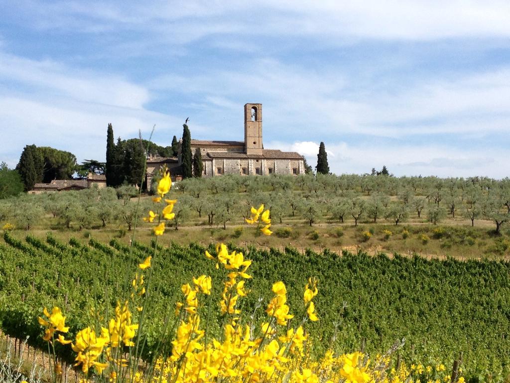 Fattoria Abbazia Monte Oliveto Villa San Gimignano Ngoại thất bức ảnh